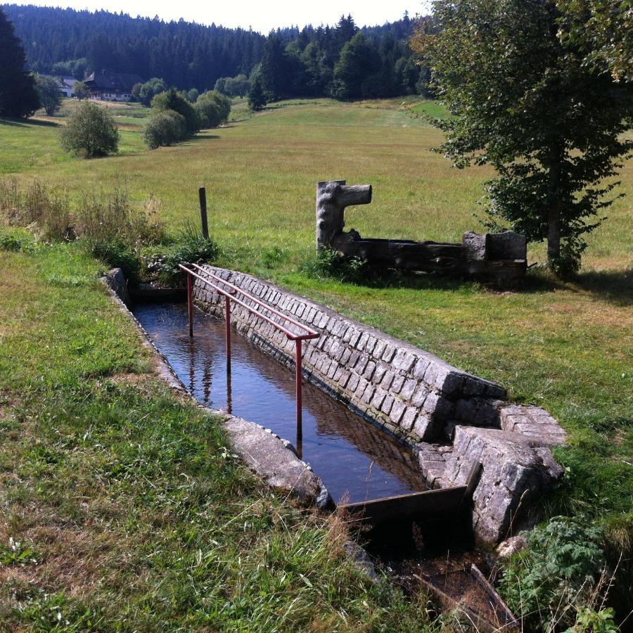Ferienwohnung Waldblick Todtnau Luaran gambar